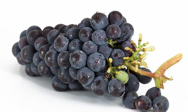 10 Health benefits of Grapes